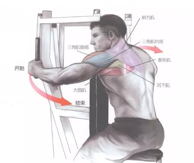 肩部肌肉训练有什么用,肩部训练肌肉线条的美感