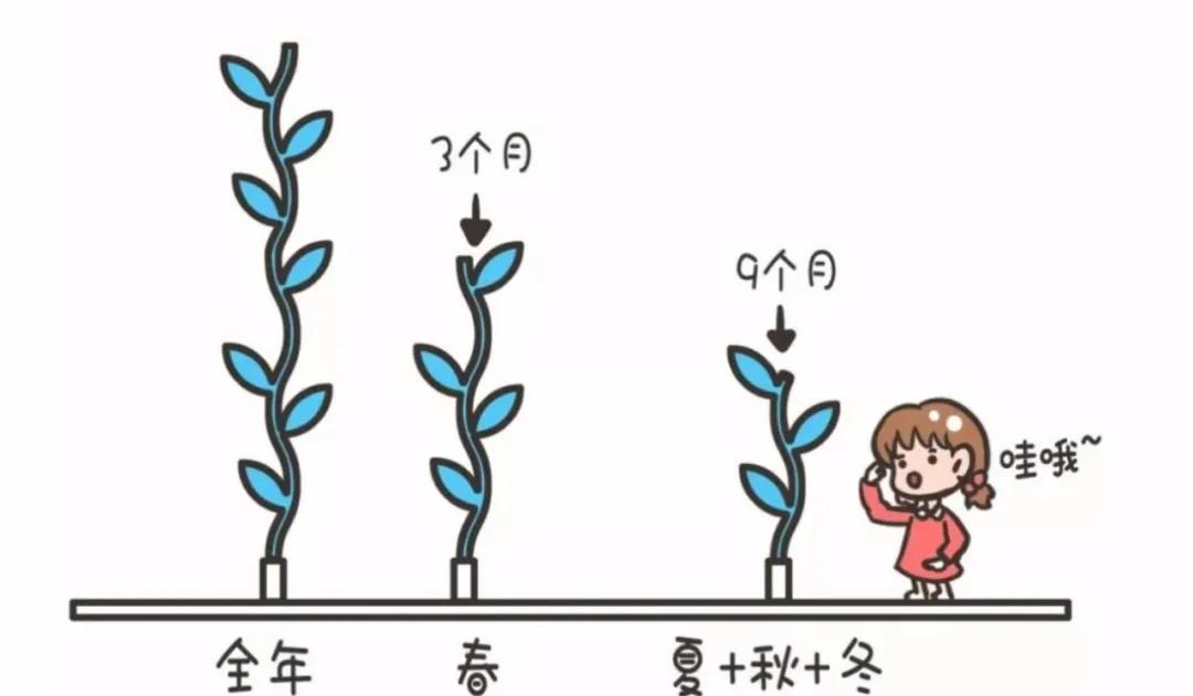 3-5月长高黄金季节,春季长高黄金期孩子蹿个儿有妙招