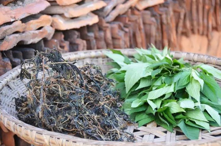 春季除湿食疗,春季除湿气