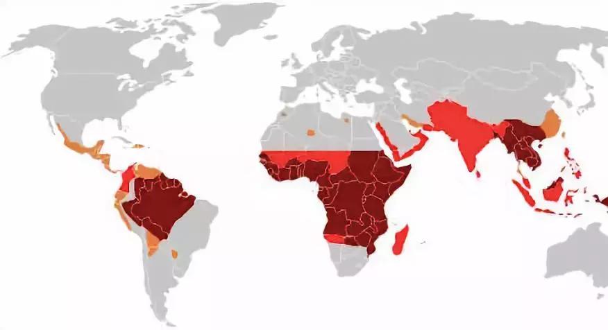 青蒿素屠呦呦红斑狼疮,屠呦呦青蒿素治疗红斑