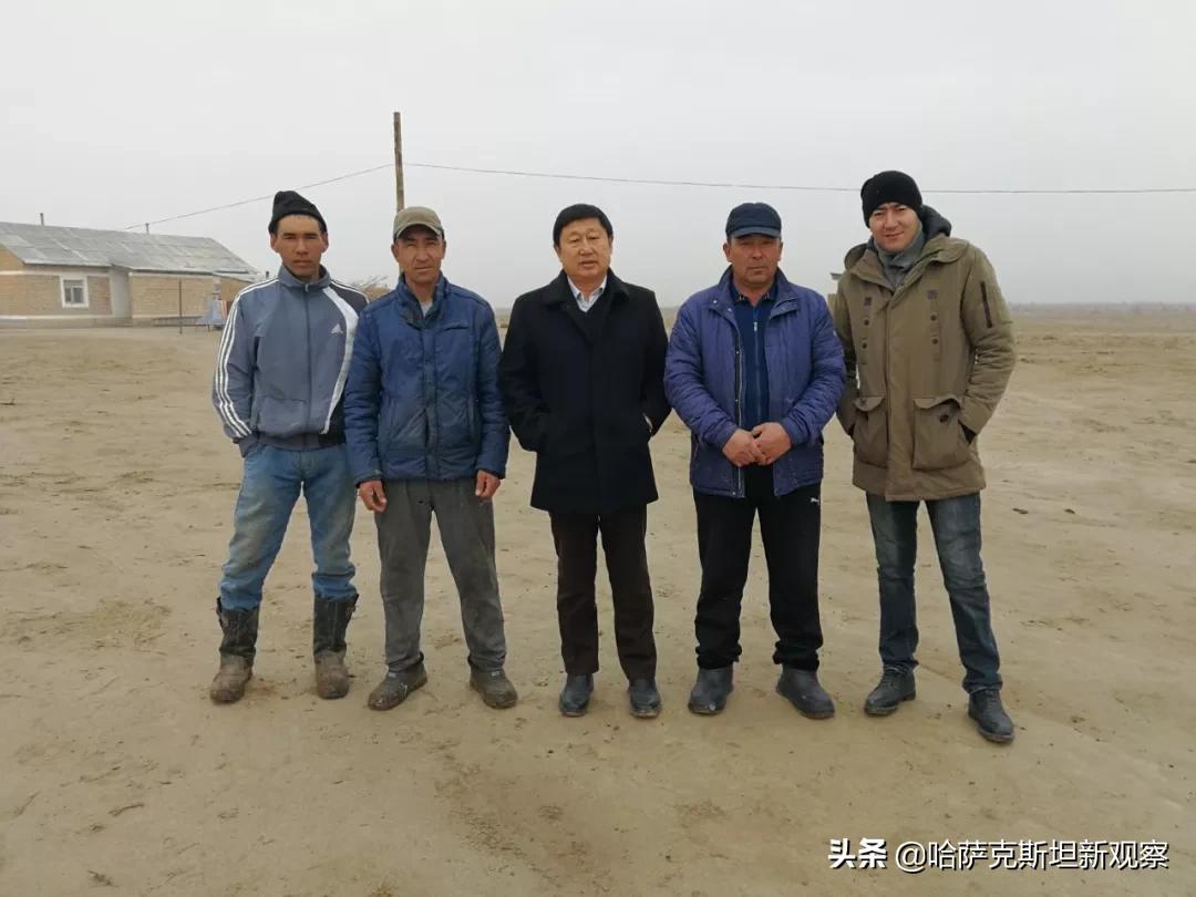 海关总署这份公告不寻常，期盼已久的哈萨克斯坦驼奶粉要来中国了