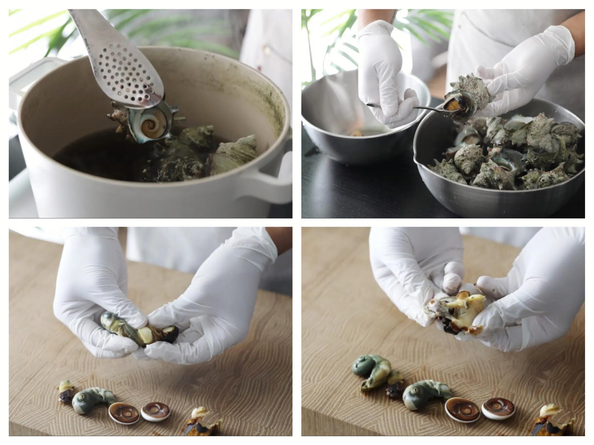 海螺吃多有副作用吗,海螺低脂高蛋白