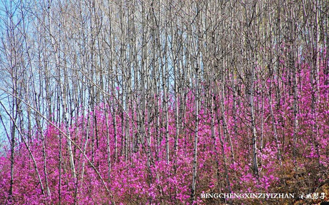 寻找中国最美的春季,探寻中国最美秘境
