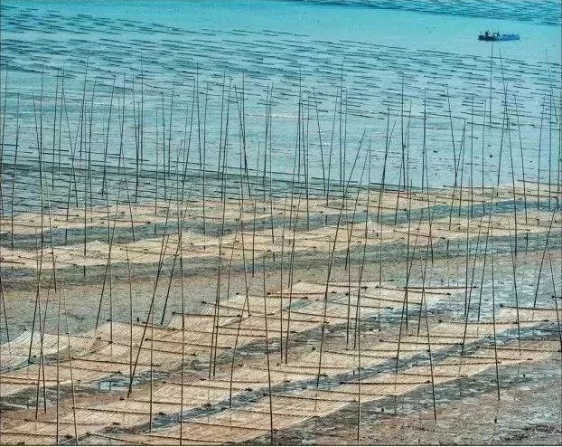 比厦门安静的海滨城市,比厦门安静10倍