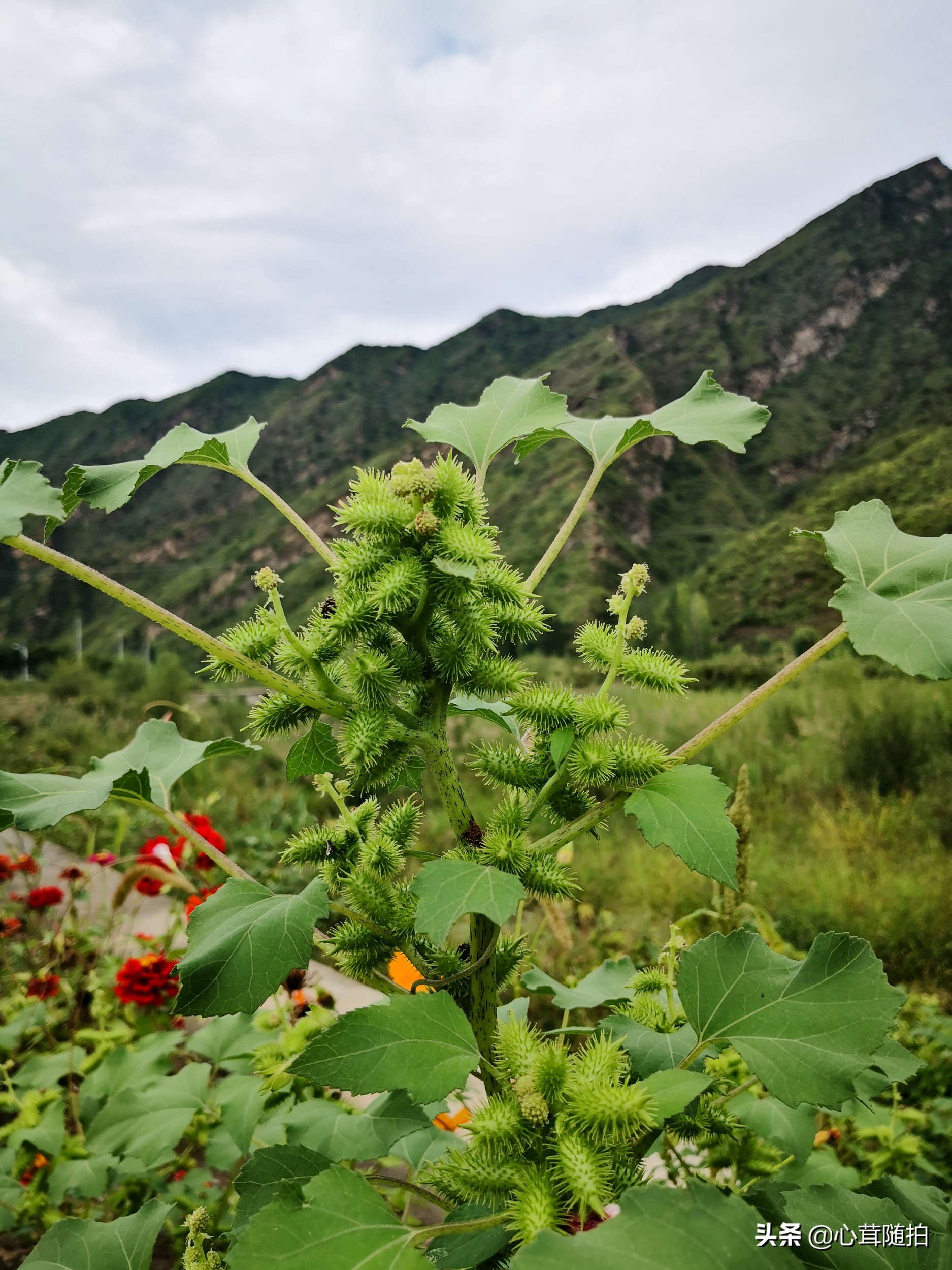 自驾白河湾,白河湾自然风景区自驾