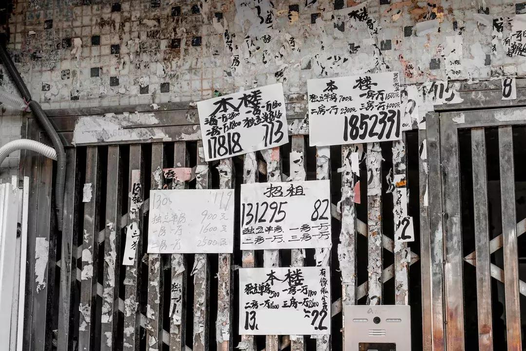 白石洲消失的原因,白石洲今日消息