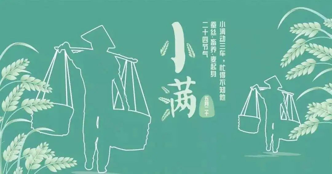 小满时节，湿热缠身，干了这碗薏仁陈皮水鸭汤