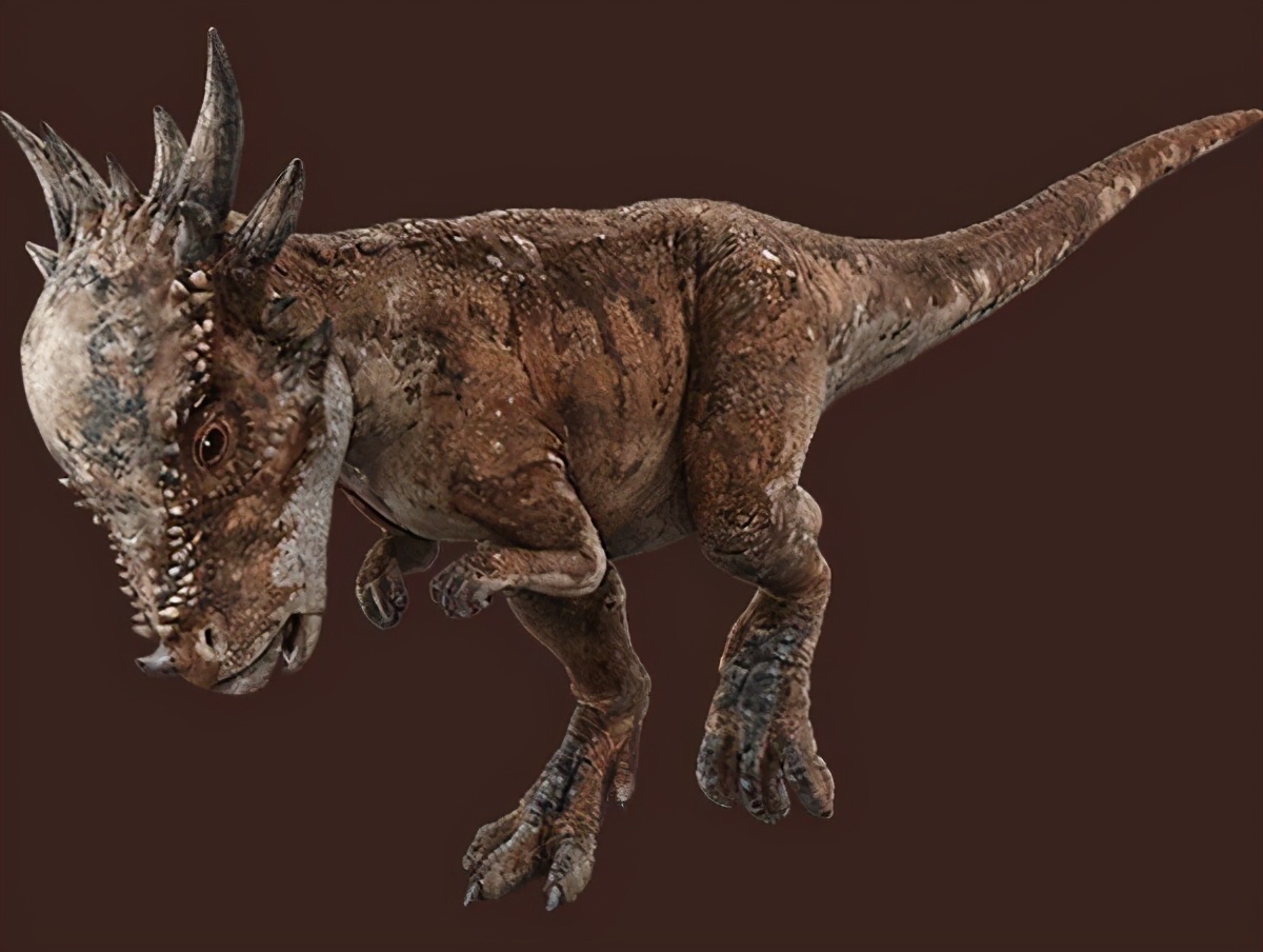 几种可以瞬间秒杀霸王龙的恐龙,各种各样的恐龙和霸王龙