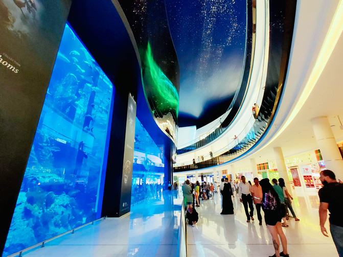 不一样的角度看迪拜,10个冷知识带你认识迪拜