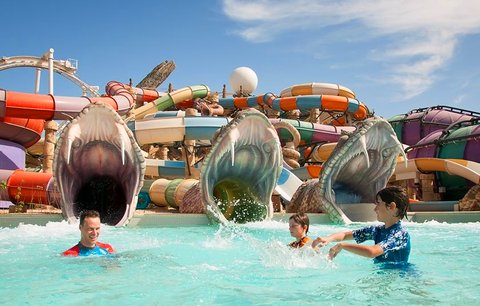 阿拉伯联合酋长国最大的酋长国,阿拉伯联合酋长国包括几个酋长国