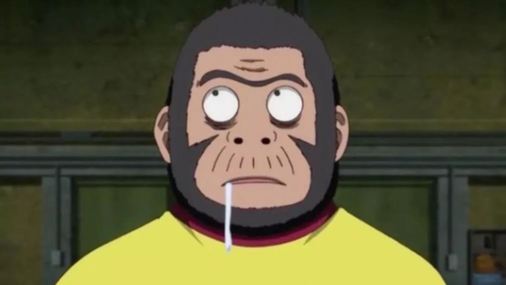 日漫前十名海贼王,19年海贼王热度