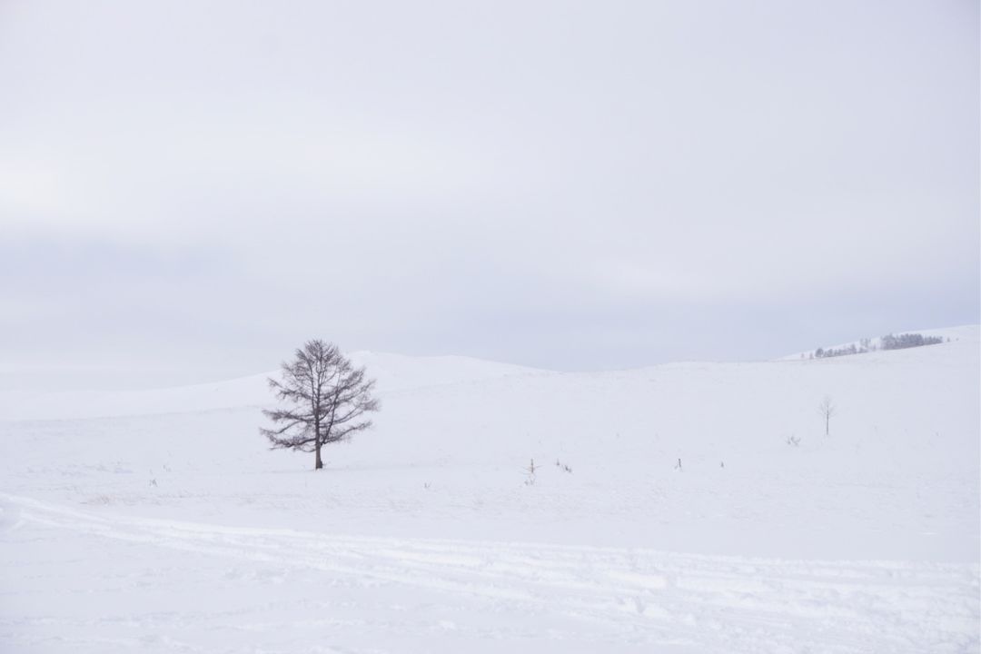 俄罗斯贝加尔湖八日游,俄罗斯贝加尔湖8日游