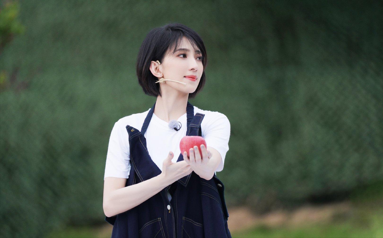 戴佩妮为何隐退三年,戴佩妮现况