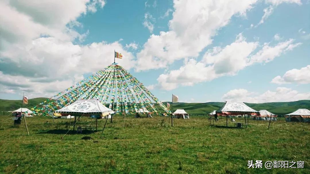 四川若尔盖，中国最美的高寒湿地草原，川西北高原上的绿洲