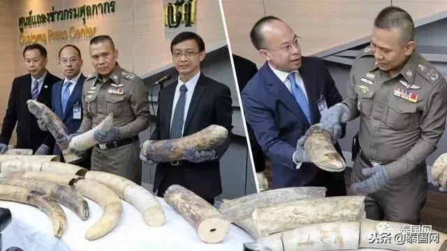 泰国打击象牙交易见成效，被CITES移出严重国家名单