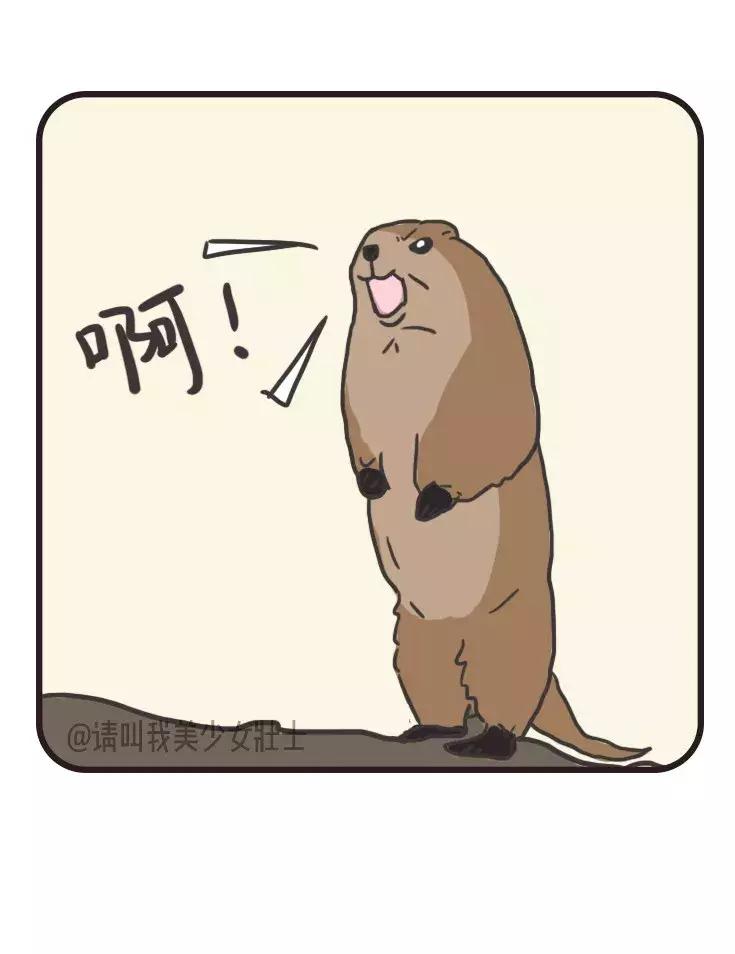 15个小众品牌实穿好看,宽松感穿搭店铺推荐小众品牌