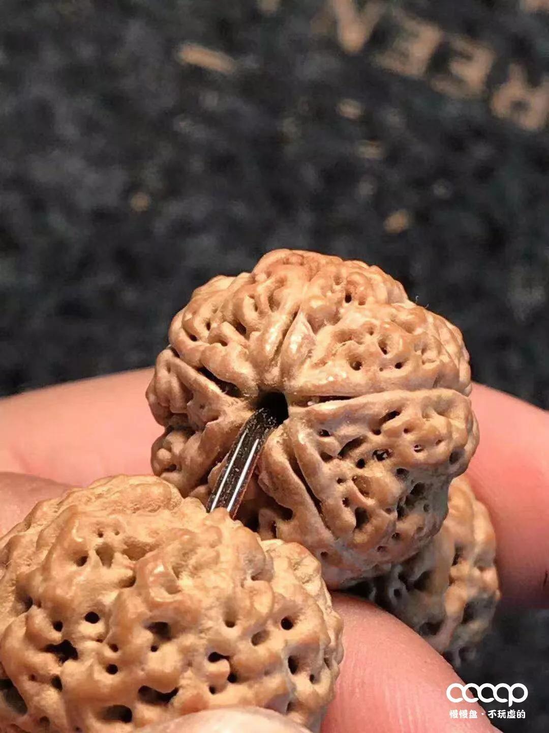 上万一条的药王籽火了后，很多尼泊尔树农大量从中国进药