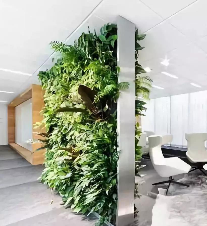 绿化屏风墙,庭院植物屏风隔断图片