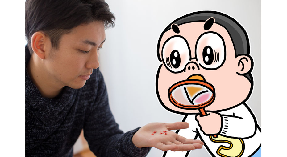 日本大师手工折纸,日本最顶级的折纸