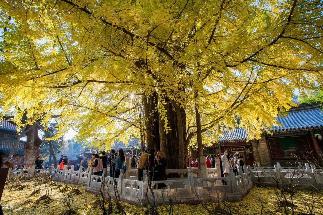 去北京不可错过的地方,不去热门景点游北京