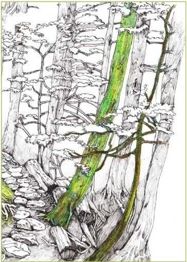 彩铅入门基础教程风景画,彩铅风景画教程简单入门