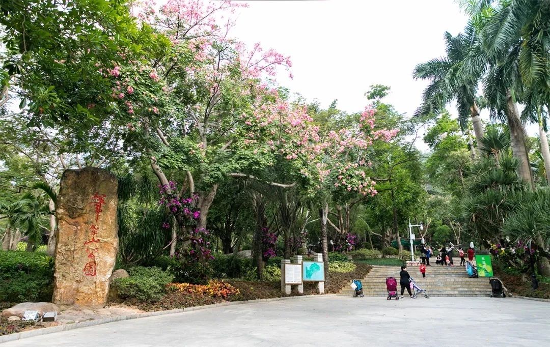 2021深圳免费适合遛娃玩地方排名,深圳免费游玩景点推荐