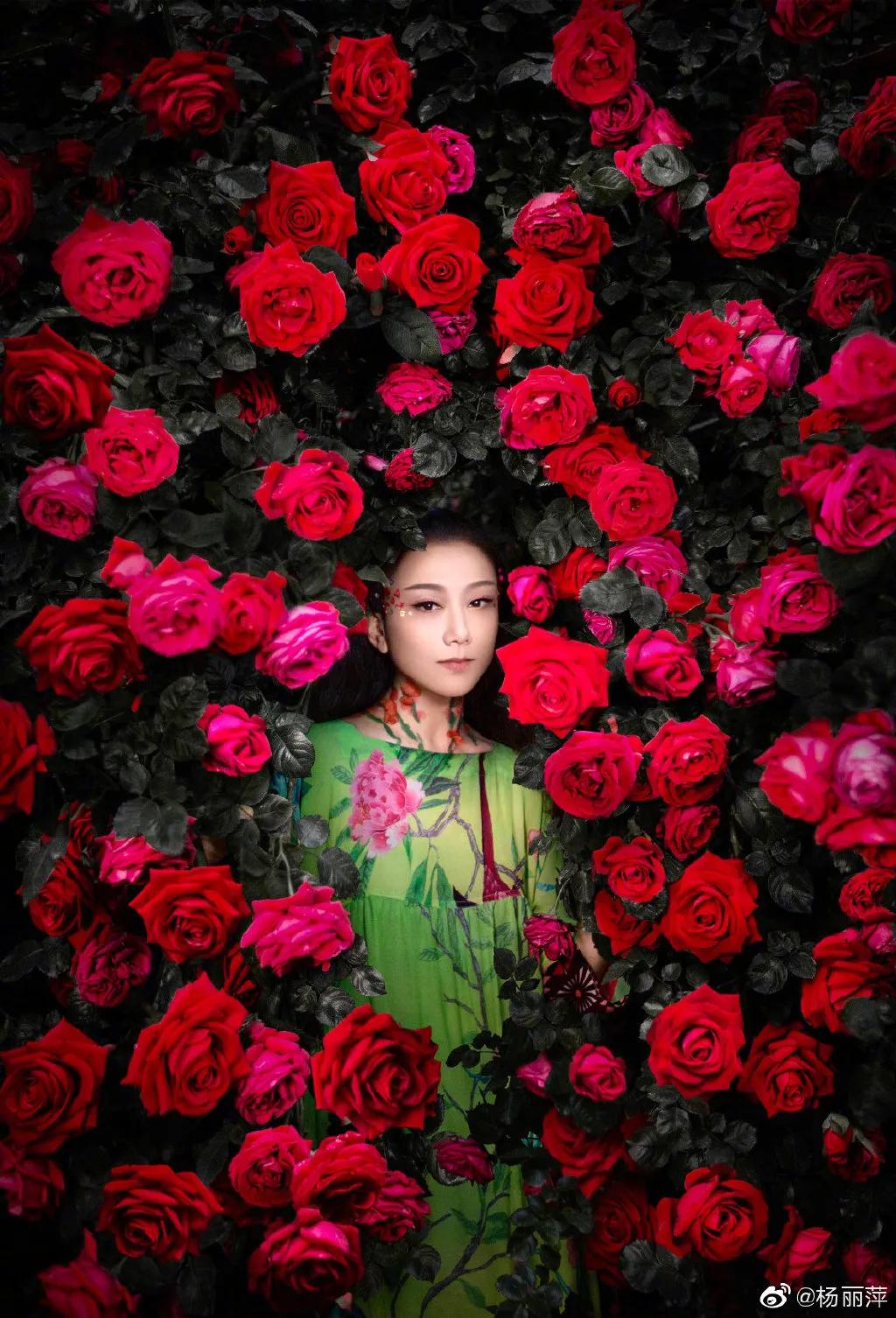 有一种向往叫西双版纳,有一种向往叫诗和远方完整版