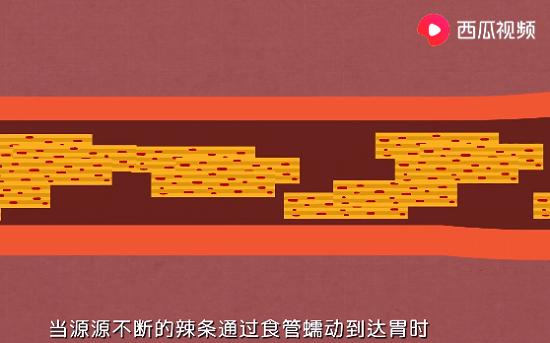 辣条吃多了有什么危害的视频,吃辣条和西瓜会中毒吗