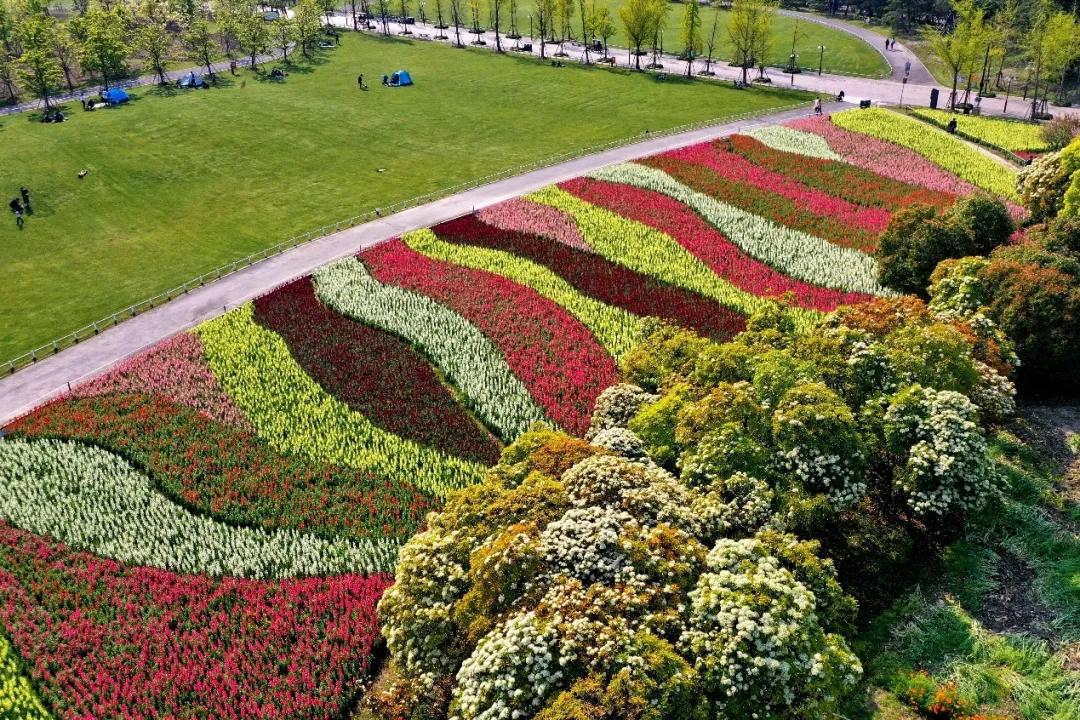 为什么选浦东国际机场,为什么选择浦发银行