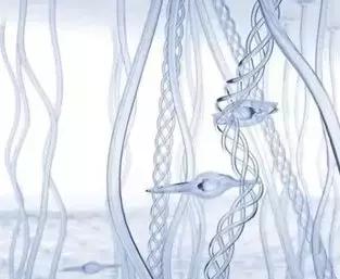 性价比卸妆水排行榜10强,高性价比卸妆产品推荐