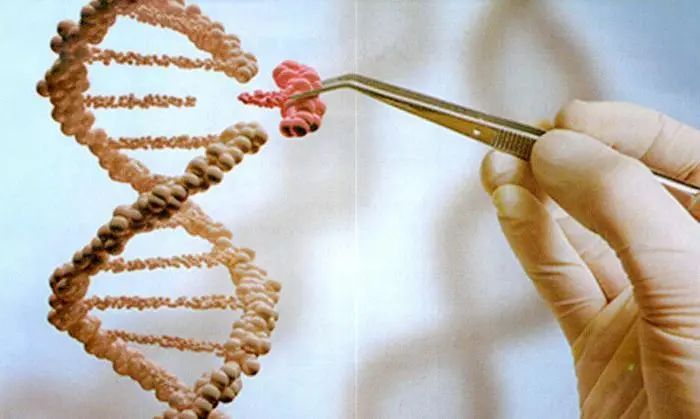 直肠癌为什么会复发和转移,直肠癌复发转移到肝上怎么治疗