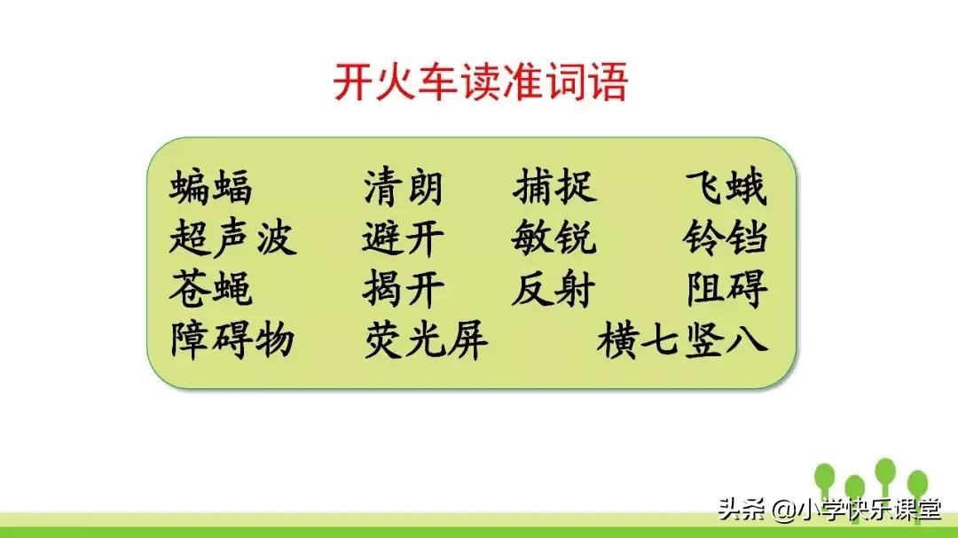 四年级上册语文蝙蝠和雷达课后题,部编版四年级上册语文蝙蝠和雷达
