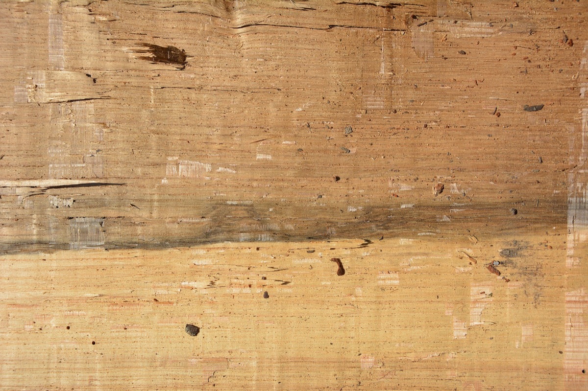 设计师福利模板,设计师必备100件用品