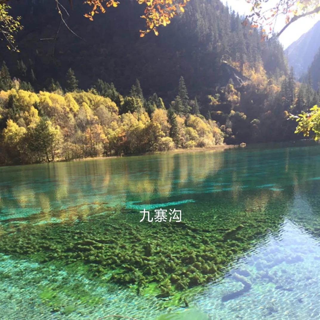四川阿坝州阿坝县的景点,阿坝县藏着中国绝色风光