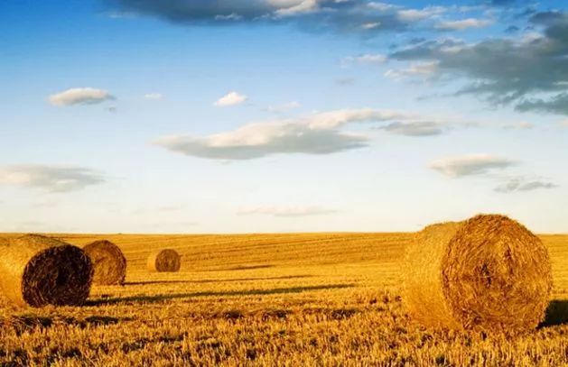 三农行业新闻,三农热点事件及评论