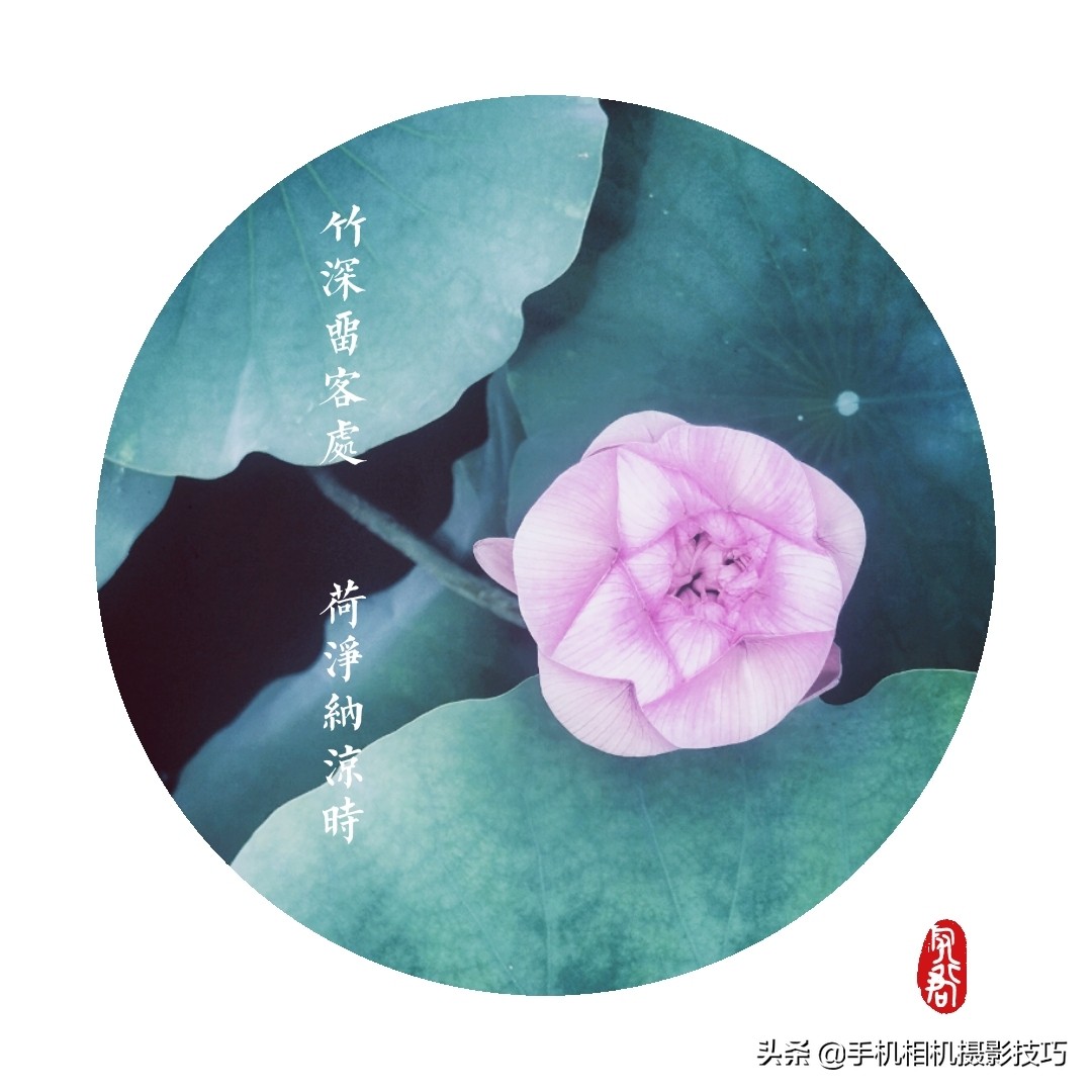 给照片加上水印用什么软件,怎么给照片加水印手机版