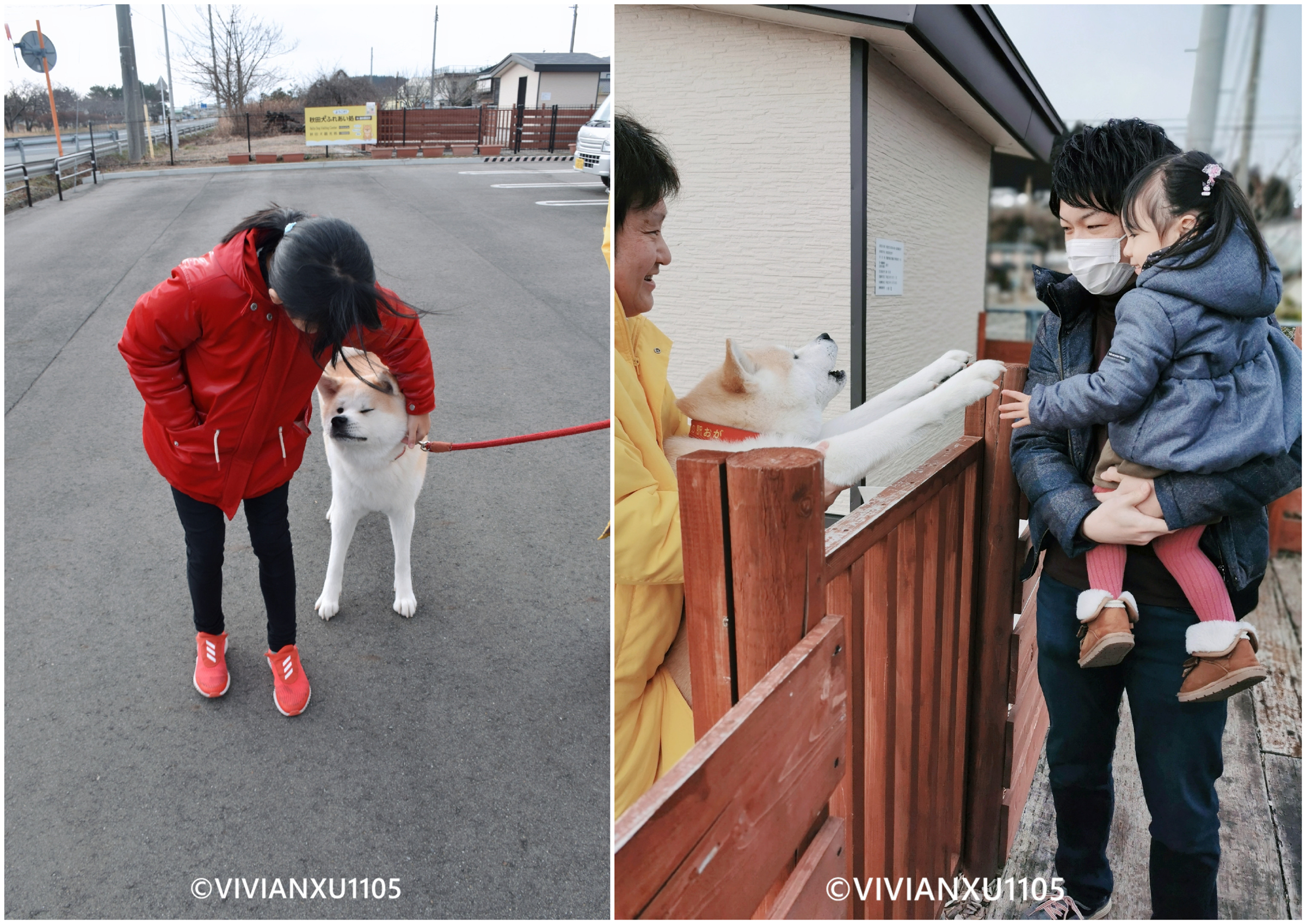 塑料母女日本东北深度游（秋田山形）