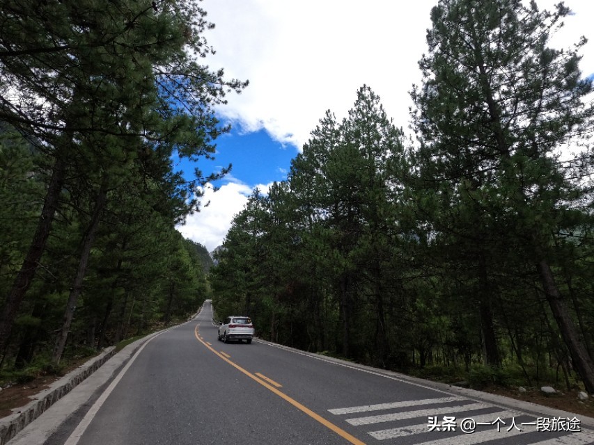 茂名骑行*藏西**：然乌到波密，松林间骑行是一种享受