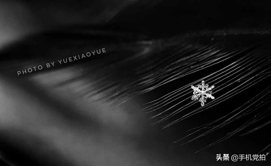 教你宅家拍氛围感大片有手就行,宅家就能轻松拍大片