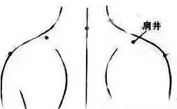 三高拍打健身操30分钟完整版,拍打操降三高养气血