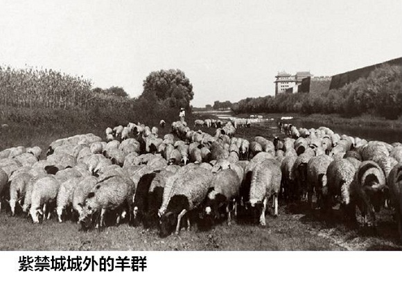 华夏民族为战马奋战千年，察哈尔张家口的马政文化