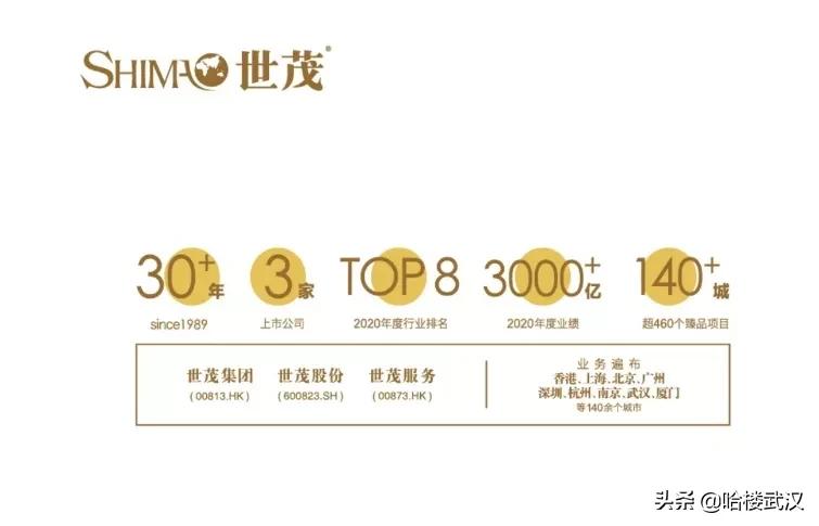 2023光谷中心城最值得购买的楼盘,2020光谷中心最值得购买的楼盘