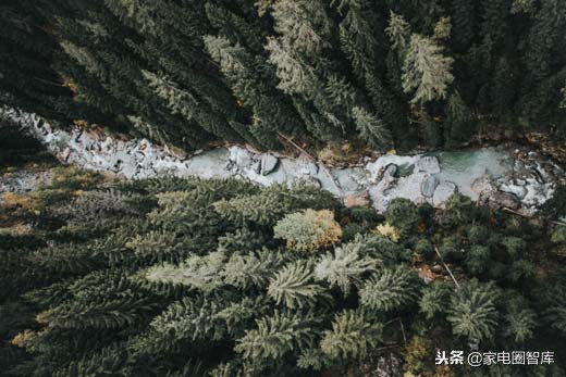 洋家电最新消息,中国的洋家电现状