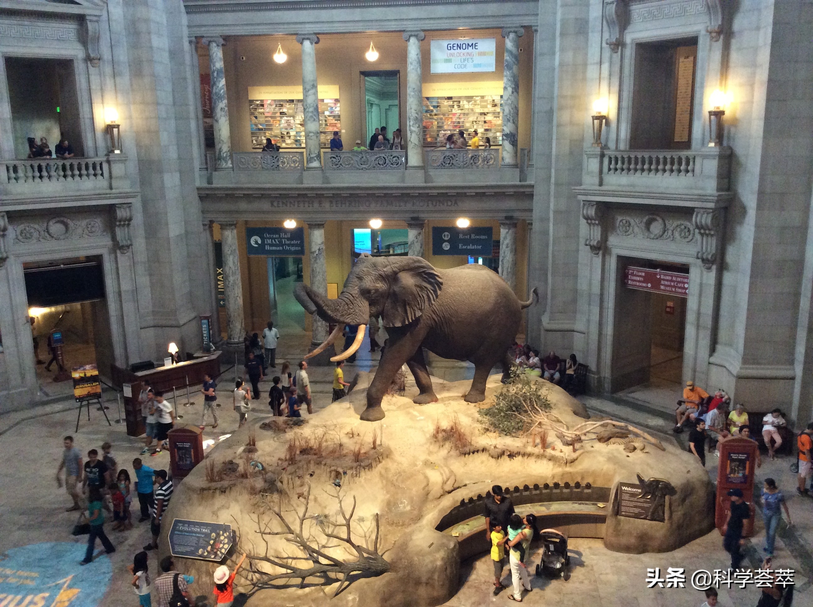 风力发电的对生态的危害,风力发电污染环境的危害