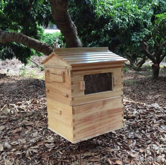 蜂箱低价,全网最便宜蜂箱