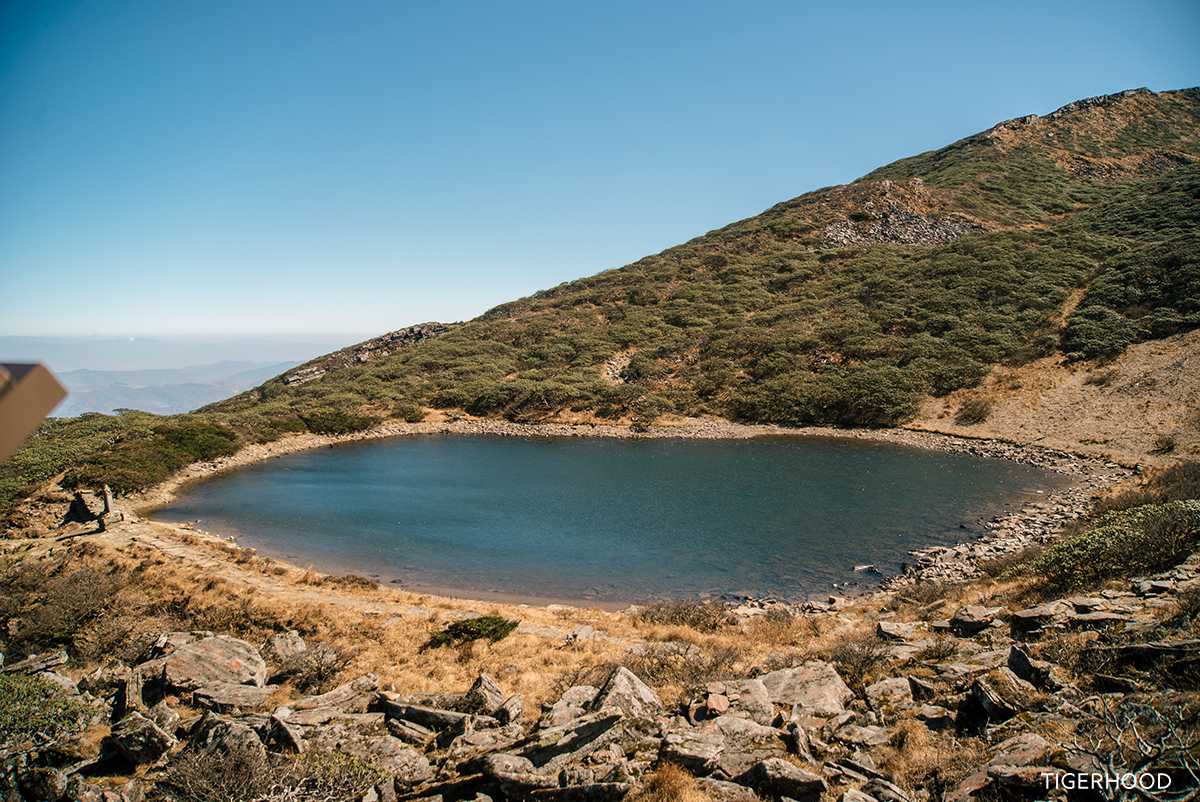 太格有物北京复古咖啡师,太格有物怎么样