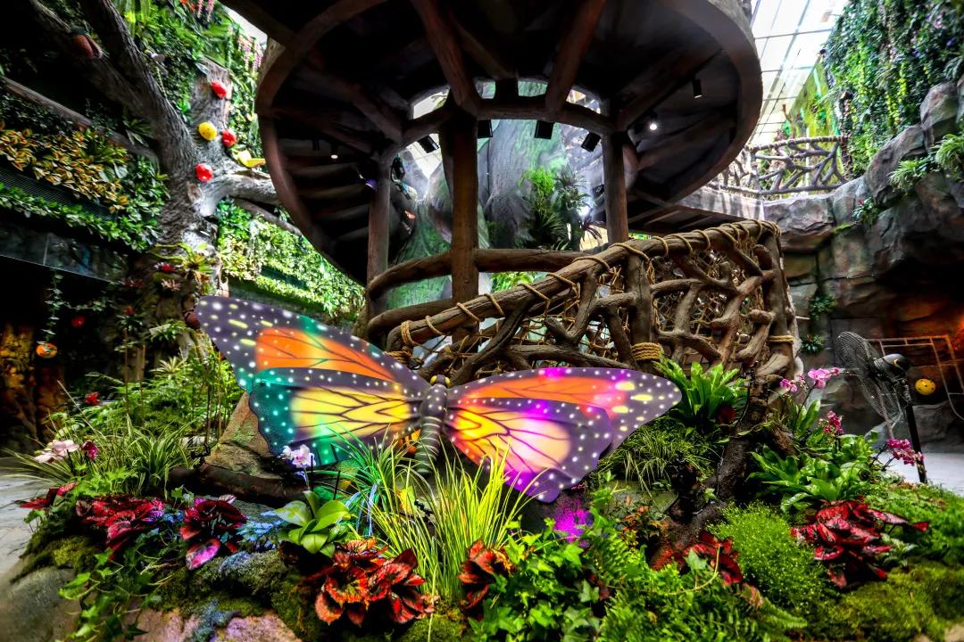 占地30000㎡！这艘建在安华汇天台上的巨船，竟是亲子乐园