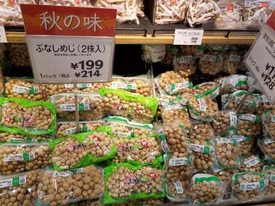 日本精致的日常生活 (日本的精致日常生活)