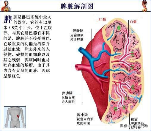 女性月经提前什么原因造成的,女性月经提前是什么原因
