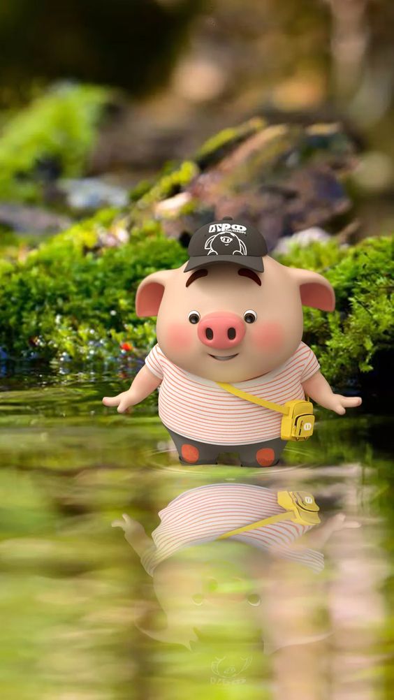 可爱又萌的小猪猪,可爱的小猪猪萌萌哒